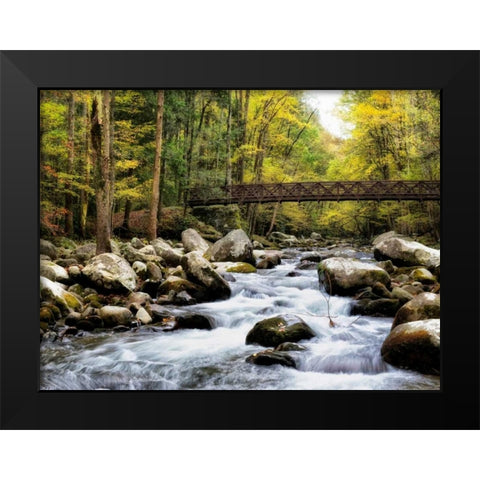 Bridging the Seasons Black Modern Wood Framed Art Print by Head, Danny