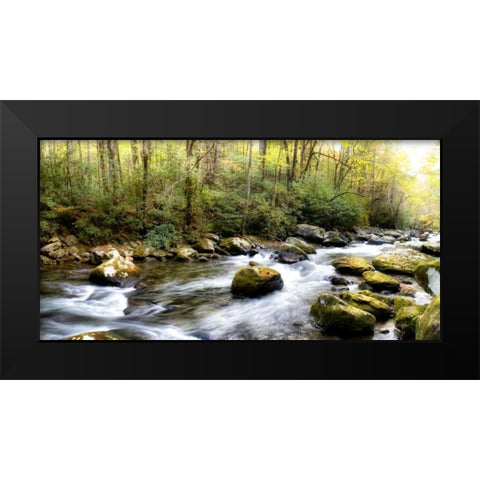 Riverside Panorama Black Modern Wood Framed Art Print by Head, Danny