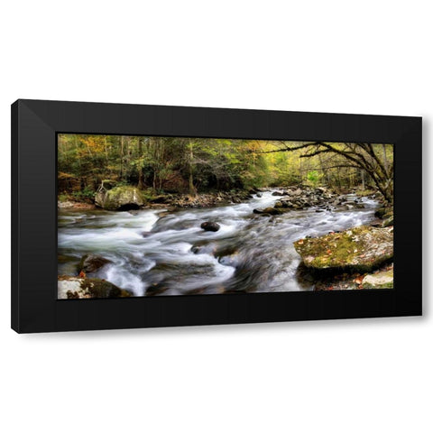 Tremont Panorama I Black Modern Wood Framed Art Print by Head, Danny