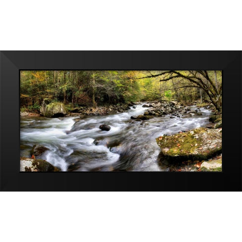 Tremont Panorama I Black Modern Wood Framed Art Print by Head, Danny