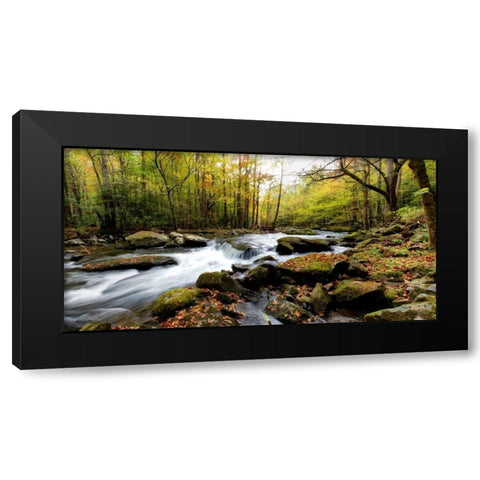 Tremont Panorama II Black Modern Wood Framed Art Print by Head, Danny