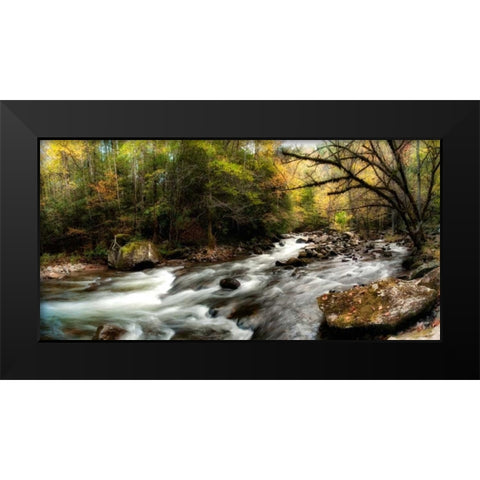 Tremont Panorama III Black Modern Wood Framed Art Print by Head, Danny