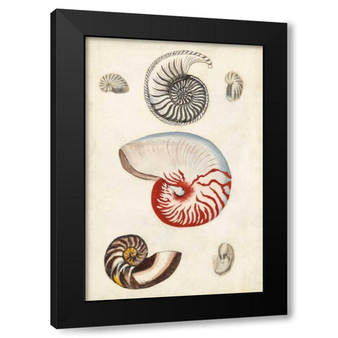 Seashore Field Notes I Black Modern Wood Framed Art Print with Double Matting by McCavitt, Naomi