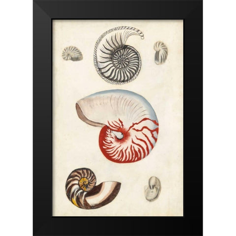 Seashore Field Notes I Black Modern Wood Framed Art Print by McCavitt, Naomi