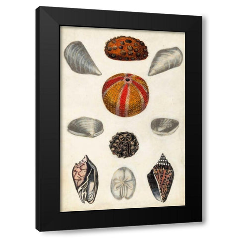 Seashore Field Notes II Black Modern Wood Framed Art Print by McCavitt, Naomi