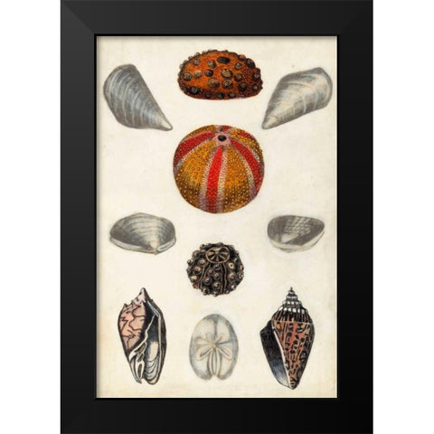 Seashore Field Notes II Black Modern Wood Framed Art Print by McCavitt, Naomi