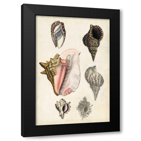 Seashore Field Notes III Black Modern Wood Framed Art Print with Double Matting by McCavitt, Naomi