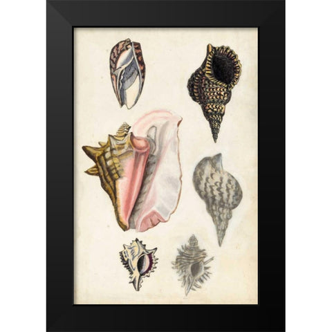 Seashore Field Notes III Black Modern Wood Framed Art Print by McCavitt, Naomi