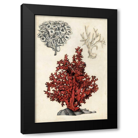 Seashore Field Notes V Black Modern Wood Framed Art Print with Double Matting by McCavitt, Naomi