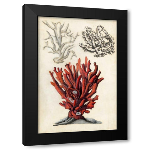 Seashore Field Notes VI Black Modern Wood Framed Art Print with Double Matting by McCavitt, Naomi