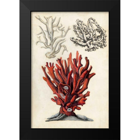 Seashore Field Notes VI Black Modern Wood Framed Art Print by McCavitt, Naomi