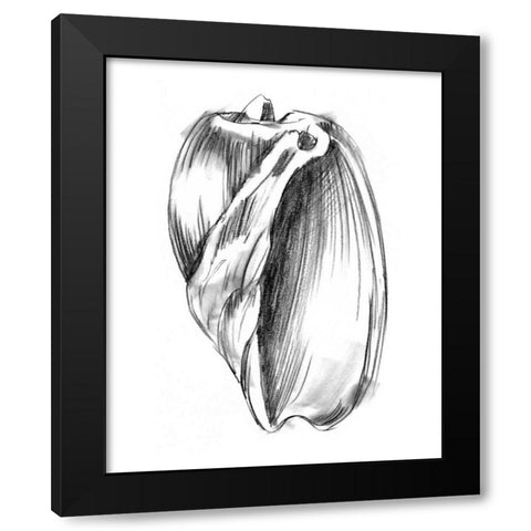 UA CH Shell Sketch III Black Modern Wood Framed Art Print with Double Matting by Harper, Ethan