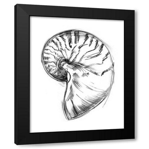 UA CH Shell Sketch IV Black Modern Wood Framed Art Print by Harper, Ethan