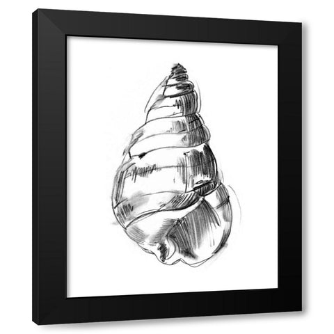 UA CH Shell Sketch V Black Modern Wood Framed Art Print with Double Matting by Harper, Ethan