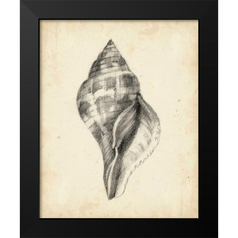 Antique Shell Study II Black Modern Wood Framed Art Print by Harper, Ethan