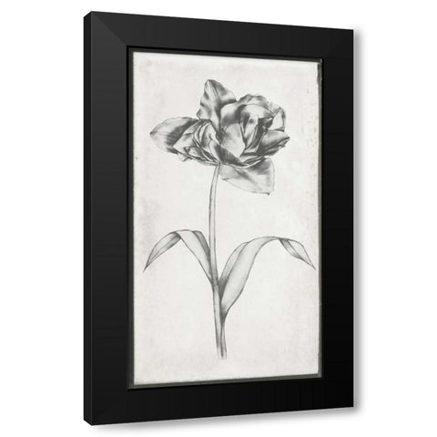 Single Stem I Black Modern Wood Framed Art Print with Double Matting by Goldberger, Jennifer