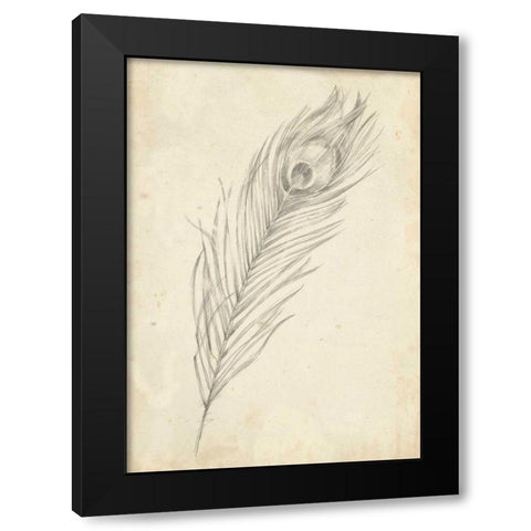 Peacock Feather Sketch II Black Modern Wood Framed Art Print with Double Matting by Harper, Ethan