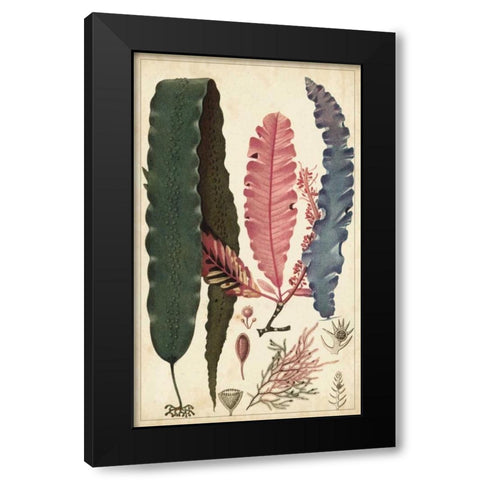 Turpin Seaweed II Black Modern Wood Framed Art Print with Double Matting by Turpin
