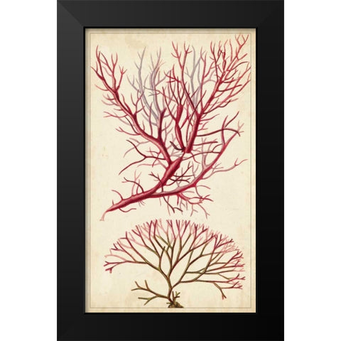 Turpin Seaweed V Black Modern Wood Framed Art Print by Turpin