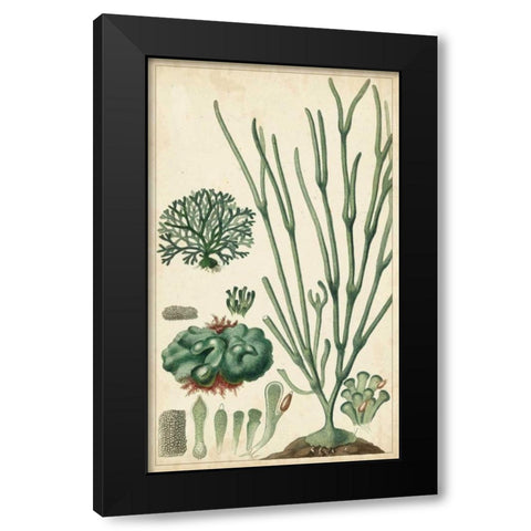 Turpin Seaweed VI Black Modern Wood Framed Art Print with Double Matting by Turpin