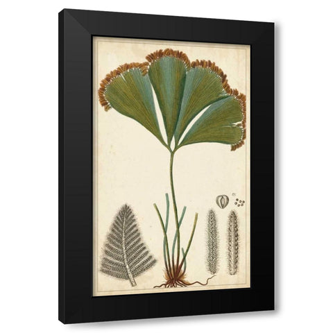Foliage Botanique I Black Modern Wood Framed Art Print with Double Matting by Turpin