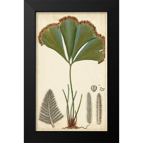 Foliage Botanique I Black Modern Wood Framed Art Print by Turpin