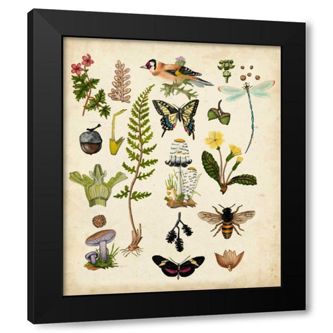 A Walk in the Forest I Black Modern Wood Framed Art Print by McCavitt, Naomi