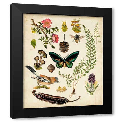 A Walk in the Forest II Black Modern Wood Framed Art Print by McCavitt, Naomi