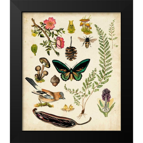 A Walk in the Forest II Black Modern Wood Framed Art Print by McCavitt, Naomi