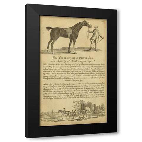 Horse Portraiture I Black Modern Wood Framed Art Print with Double Matting by Unknown