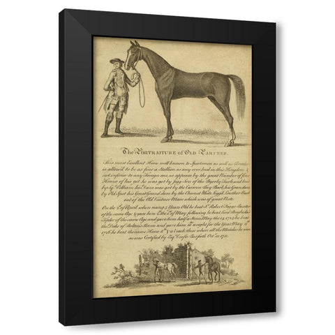 Horse Portraiture II Black Modern Wood Framed Art Print with Double Matting by Unknown