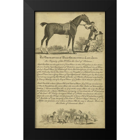 Horse Portraiture VII Black Modern Wood Framed Art Print by Unknown