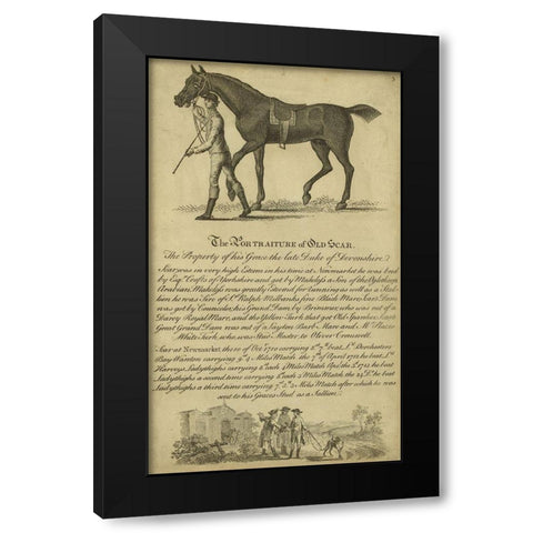 Horse Portraiture VIII Black Modern Wood Framed Art Print by Unknown
