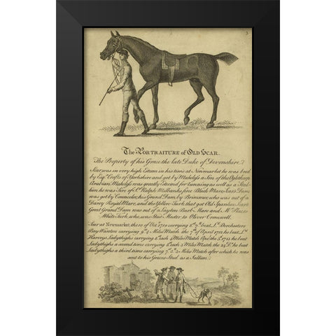 Horse Portraiture VIII Black Modern Wood Framed Art Print by Unknown