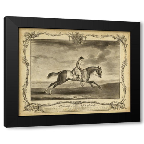 Distinguished Horses I Black Modern Wood Framed Art Print by Unknown