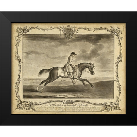 Distinguished Horses I Black Modern Wood Framed Art Print by Unknown