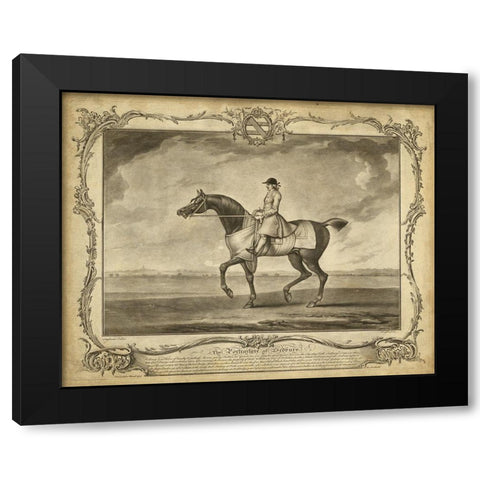 Distinguished Horses II Black Modern Wood Framed Art Print by Unknown