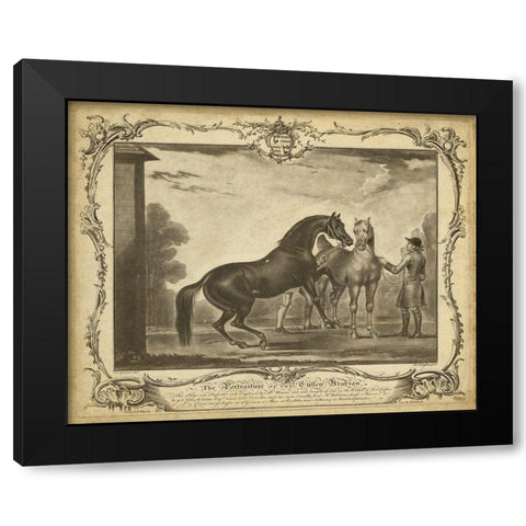 Distinguished Horses III Black Modern Wood Framed Art Print by Unknown