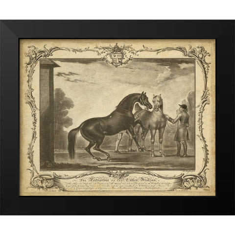 Distinguished Horses III Black Modern Wood Framed Art Print by Unknown