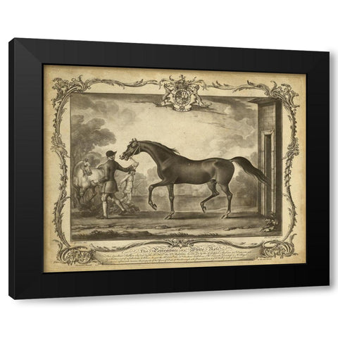 Distinguished Horses IV Black Modern Wood Framed Art Print by Unknown