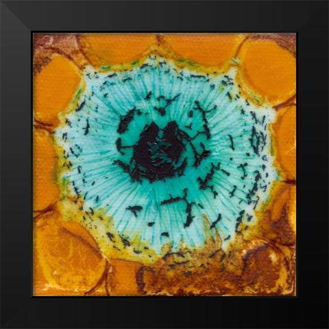 Oculus I Black Modern Wood Framed Art Print by Ludwig, Alicia