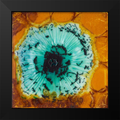 Oculus II Black Modern Wood Framed Art Print by Ludwig, Alicia