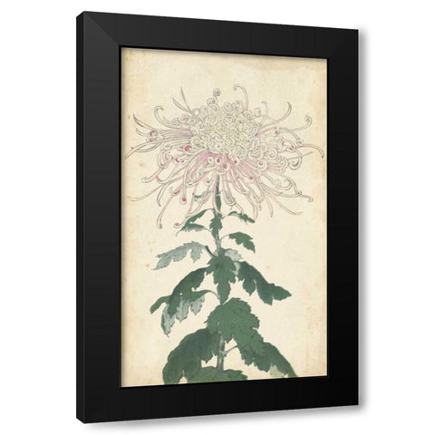 Elegant Chrysanthemums IV Black Modern Wood Framed Art Print by Unknown