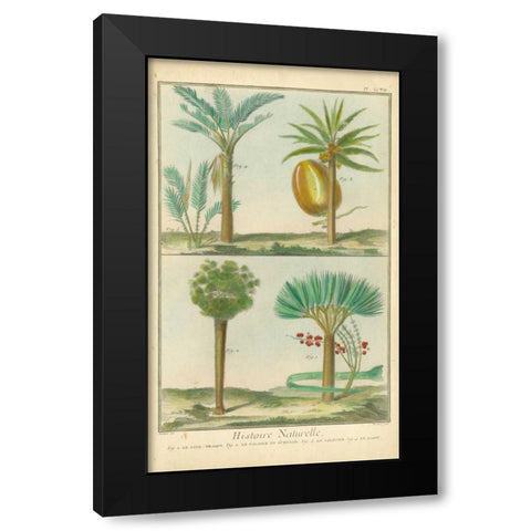 Histoire Naturelle Tropicals I Black Modern Wood Framed Art Print with Double Matting by Martinet