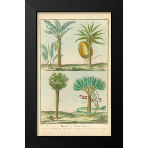 Histoire Naturelle Tropicals I Black Modern Wood Framed Art Print by Martinet