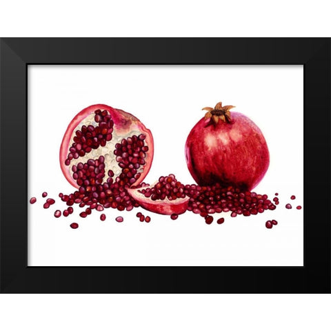 Watercolor Pomegranate Black Modern Wood Framed Art Print by Willett, Michael