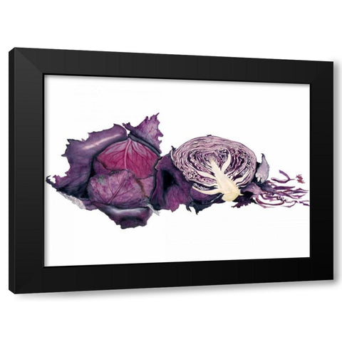 Watercolor Purple Cabbage Black Modern Wood Framed Art Print by Willett, Michael