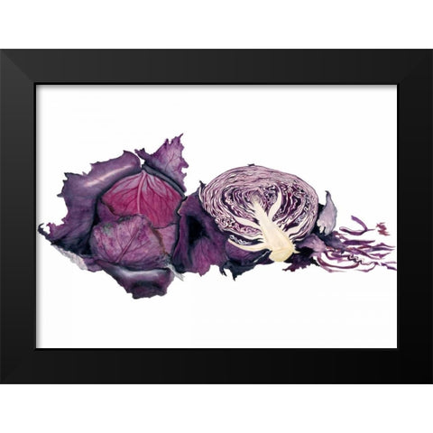 Watercolor Purple Cabbage Black Modern Wood Framed Art Print by Willett, Michael