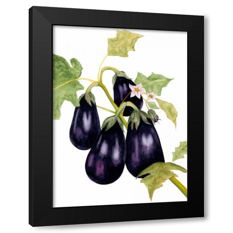 Watercolor Eggplant Black Modern Wood Framed Art Print with Double Matting by Willett, Michael
