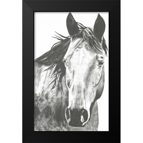 Wildlife Snapshot- Horse I Black Modern Wood Framed Art Print by McCavitt, Naomi